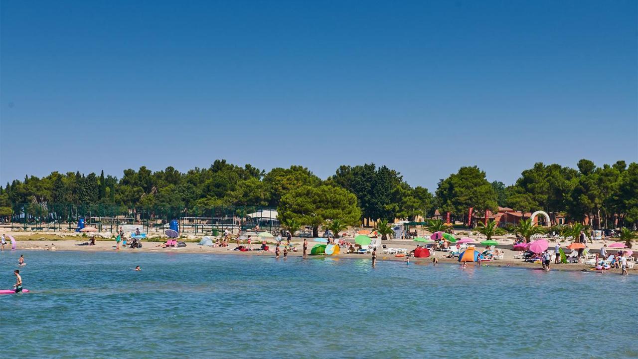 Violetta-punta * Umago