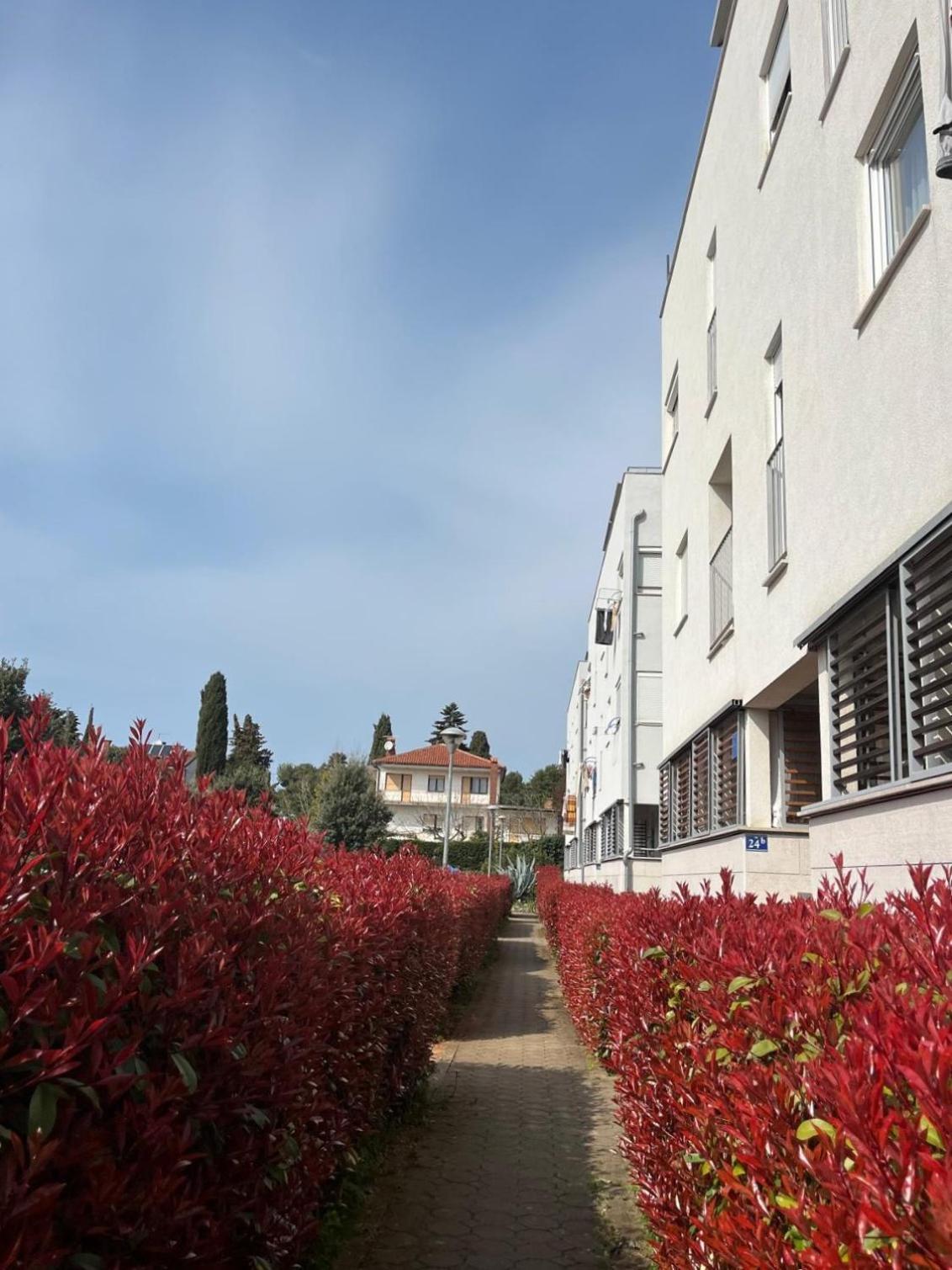 Violetta-punta Apartment Umag